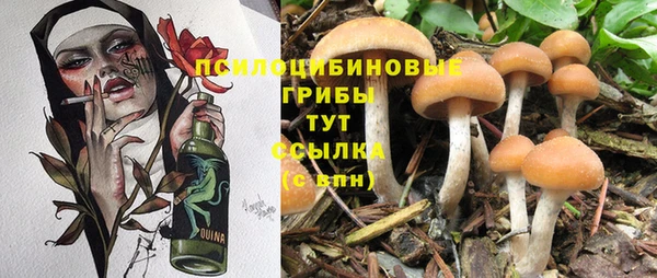 кокаин колумбия Няндома