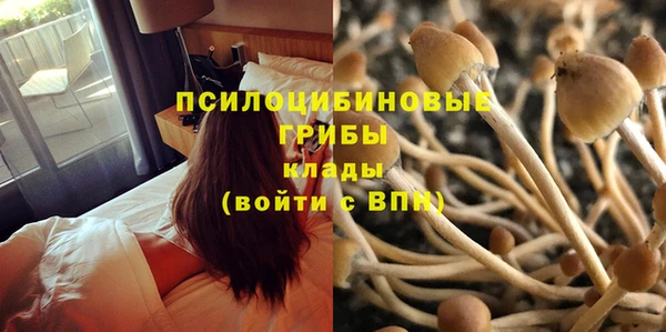 прущая мука Нязепетровск