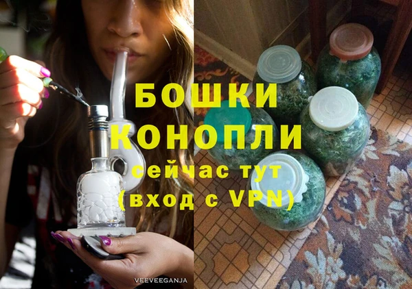 индика Новодвинск