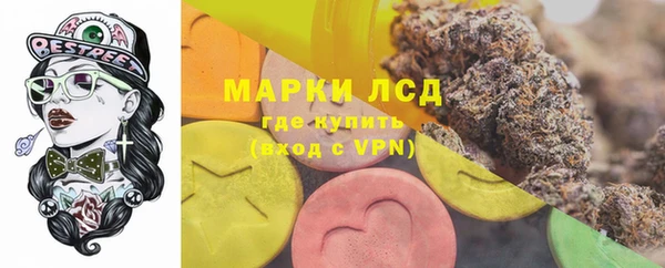 ешки Новозыбков